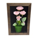 Classy Homes Artificial Plants With Frame, 20x30cm