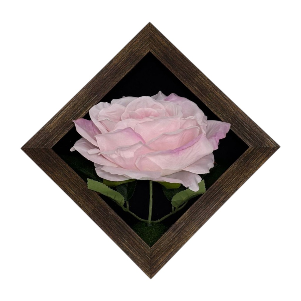 Classy Homes Artificial Plants With Frame, 20x20cm