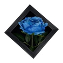 Classy Homes Artificial Plants With Frame, 20x20cm