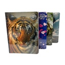 Quad Notes Notebook Boys Design 100 Sheets - 6Pk