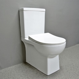 [SR-TT8305 RHT19070] Royal Homes Toilet P-trap 25.2 x 14.5 x 31.5 In., White